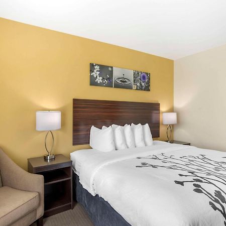 Sleep Inn North - Central 约克 外观 照片